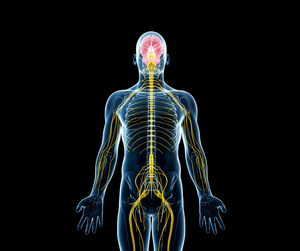 Magnesium Glycinate Supplement