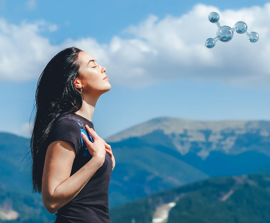 Modern Detox: How NAC Boost Supports Your Liver In A Chemically Crowded World