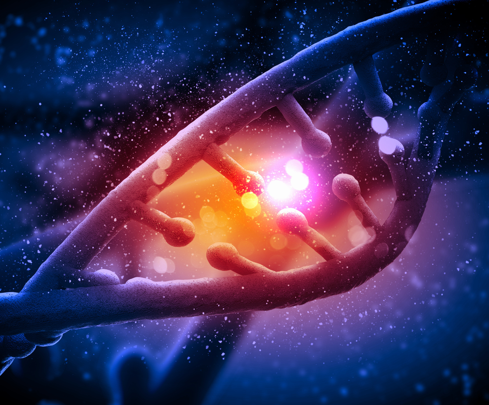 Unleash Your Body's Potential - The Remarkable Benefits Of TMG | Coral ...