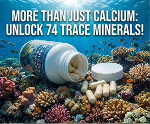Why Marine Coral Calcium Outperforms Standard Supplements