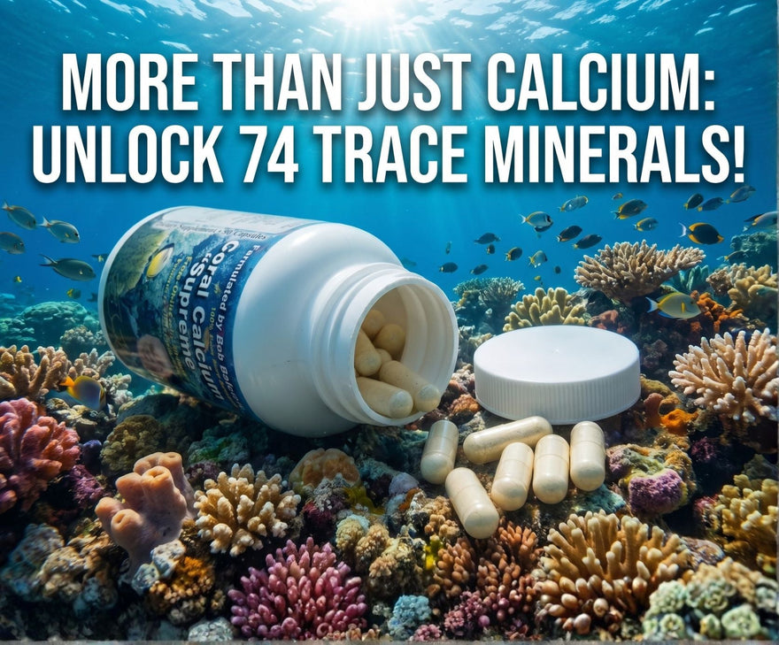 Why Marine Coral Calcium Outperforms Standard Supplements